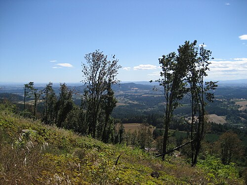 Chehalem Mountains